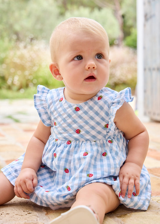 Newborn Picket Dress
