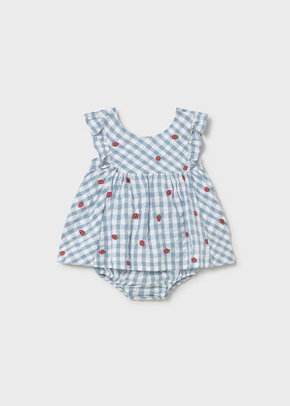 Newborn Picket Dress