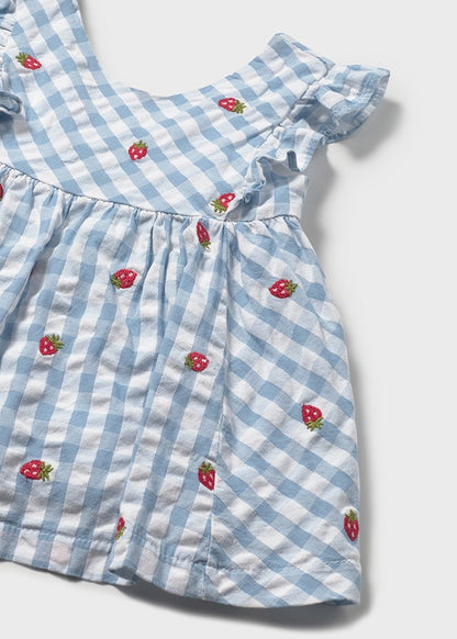 Newborn Picket Dress