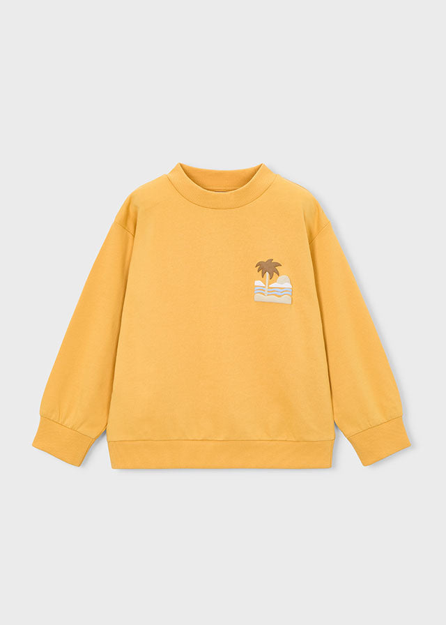 Boys Sunny Pullover
