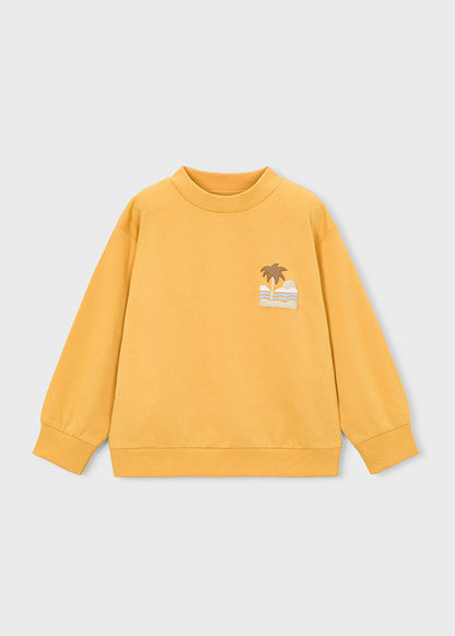 Boys Sunny Pullover
