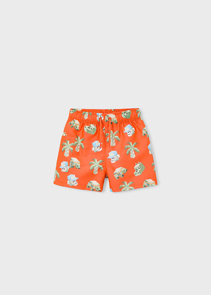 Boys Printed Swim Shorts