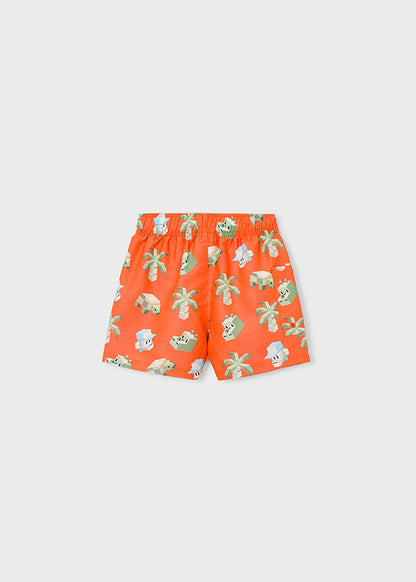 Boys Printed Swim Shorts
