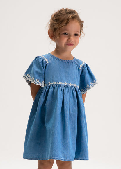 Girl Floral Embroidered Dress