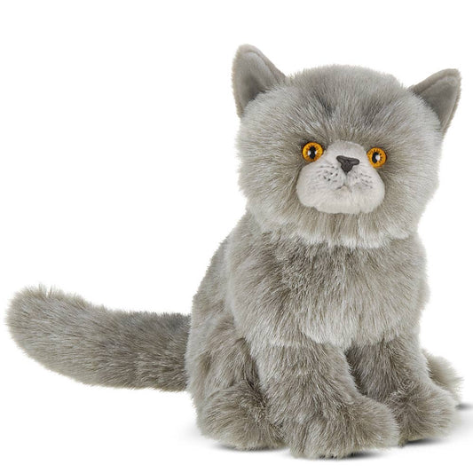 Gordie the Grey Persian Cat