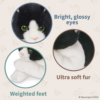 Lil' Domino the Black & White Cat