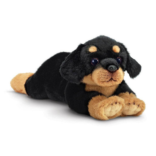 Gunner the Rottweiler
