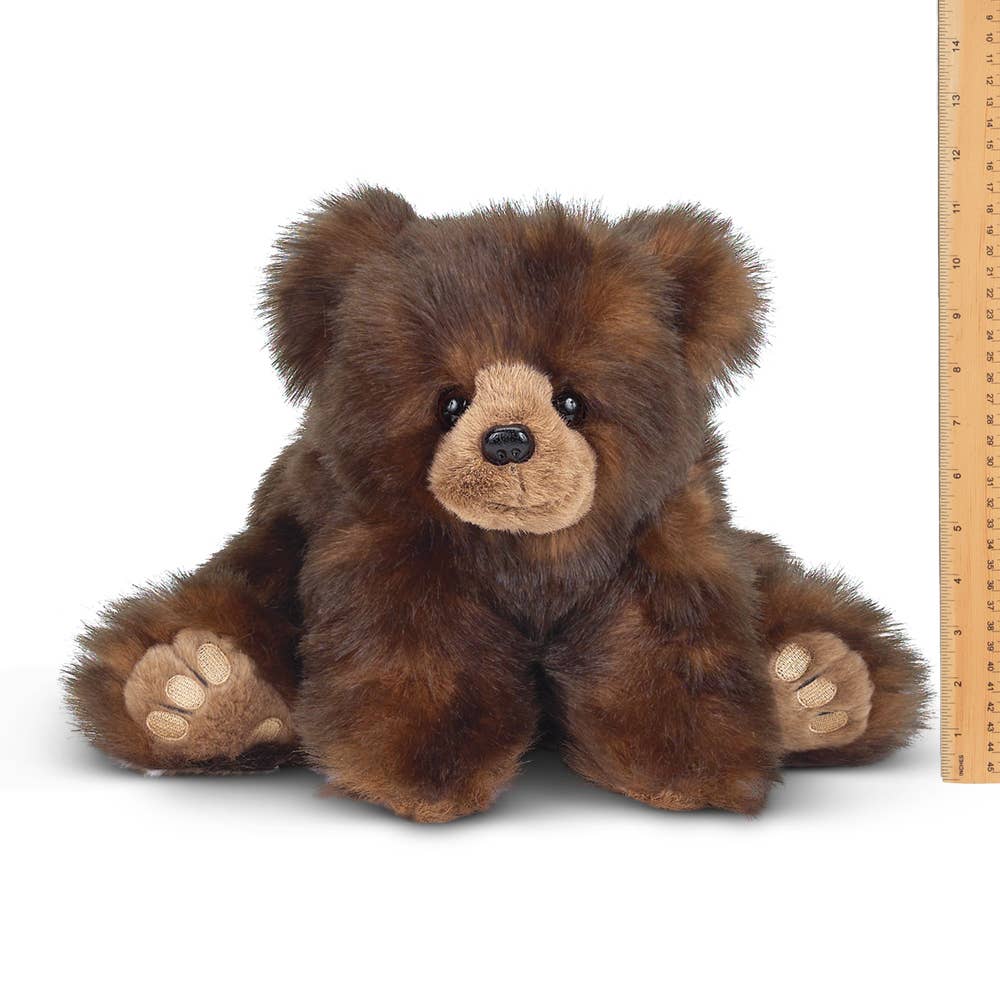 Huggy Ben the Brown Bear