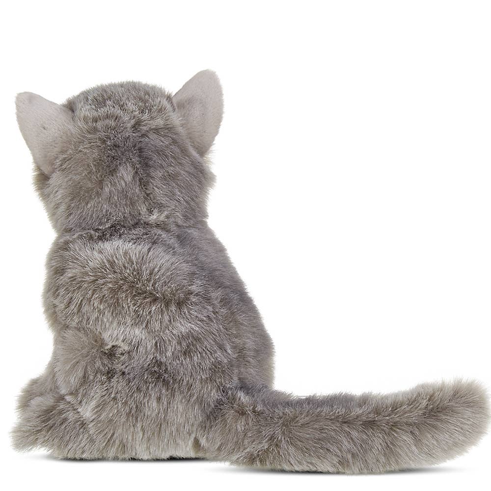 Gordie the Grey Persian Cat