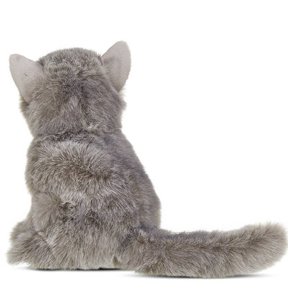 Gordie the Grey Persian Cat
