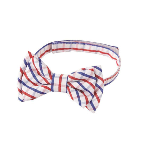 Plaid Boxed Bow Ties